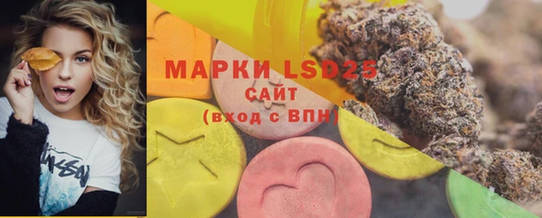 ГАЛЛЮЦИНОГЕННЫЕ ГРИБЫ Алзамай