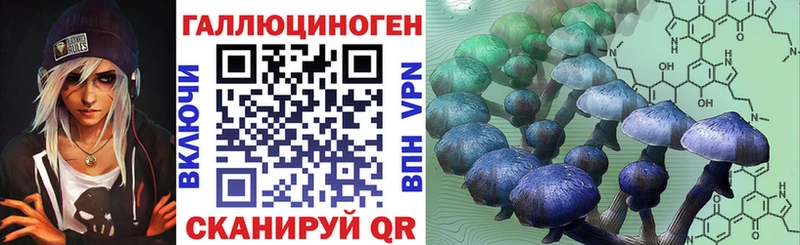 цены наркотик  Касимов  Галлюциногенные грибы MAGIC MUSHROOMS 